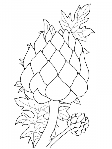 Artichoke coloring page image