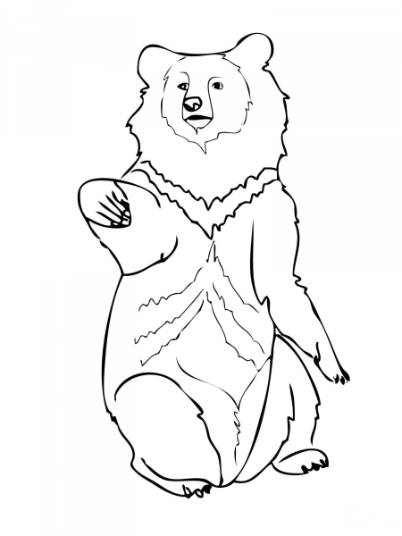 Asia Black Bear coloring page image