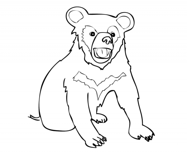 Asia Black Bear Cub coloring page image