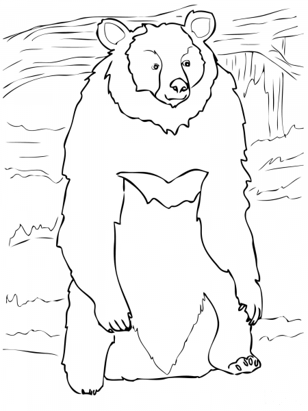 Asia Black Bear Standing up coloring page image