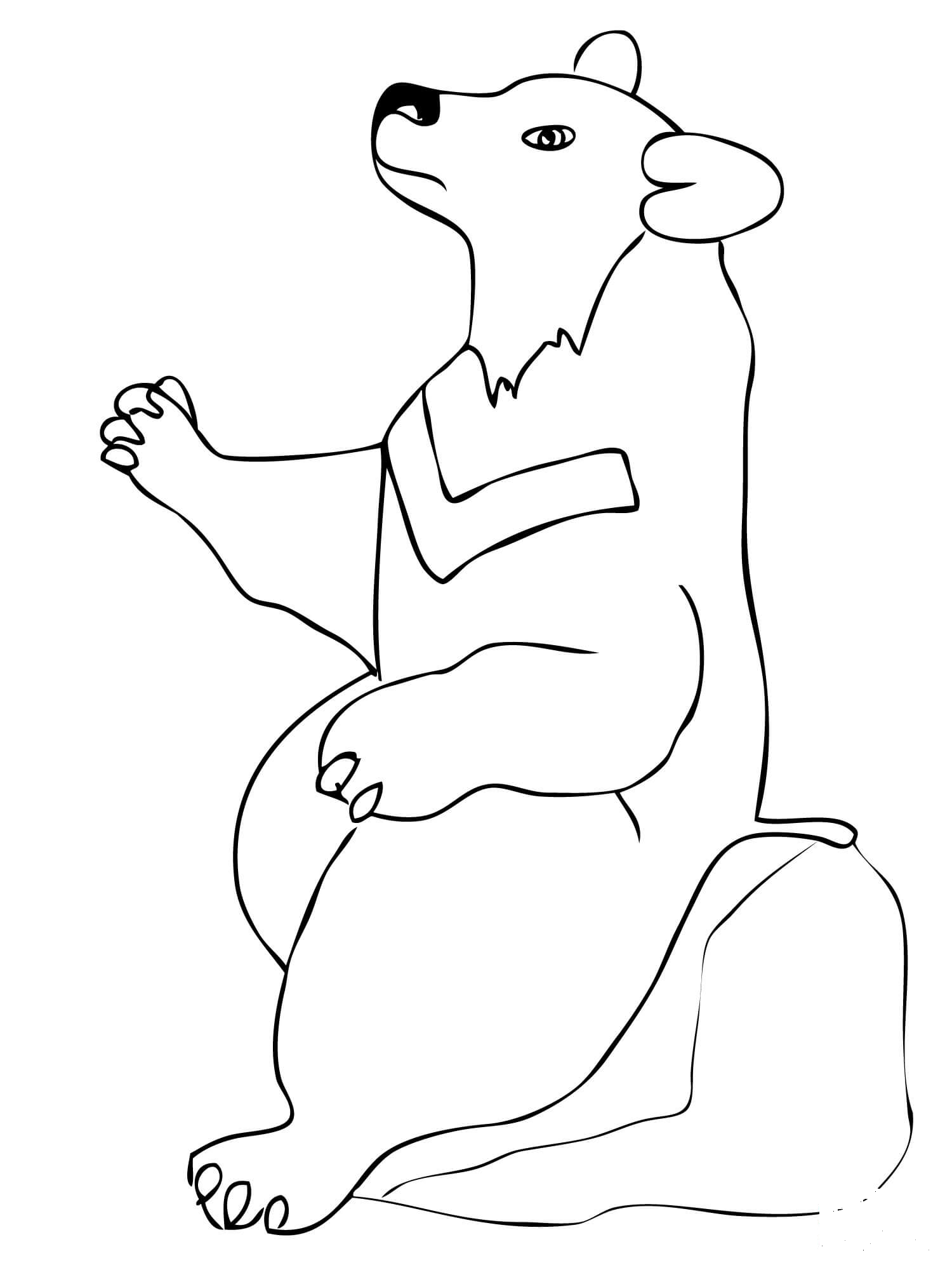 Asian Black Bear coloring page - ColouringPages