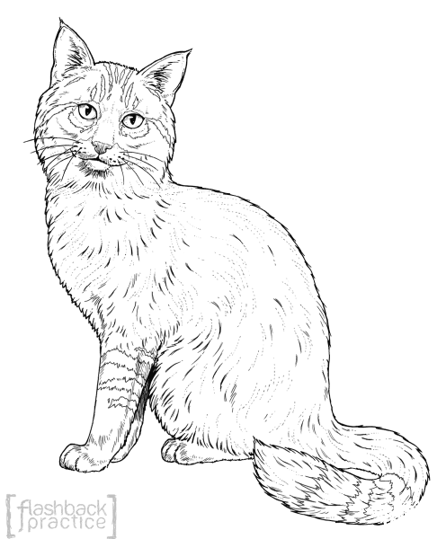 Asian Jungle Cat Sits coloring page image