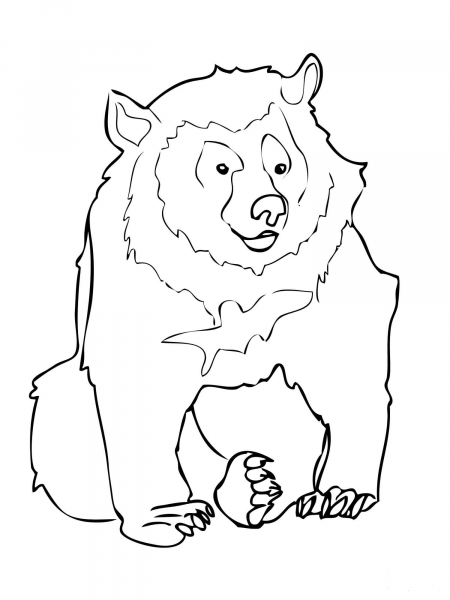 Asiatic Black Bear coloring page image