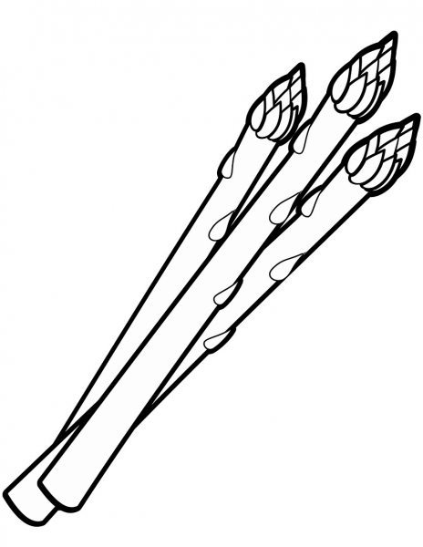 Asparagus coloring page image