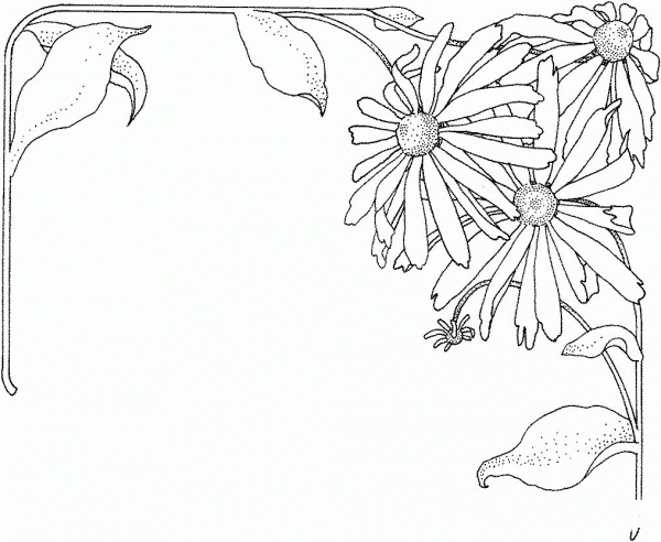 Aster 1 coloring page image