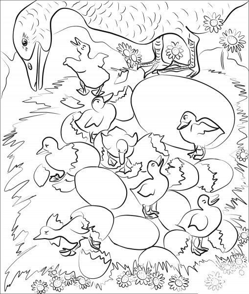 At Last the Eggs Cracked One After Another coloring page image