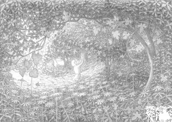 At the Old Vineyard coloring page image