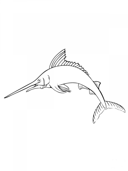 Atlantic Blue Marlin coloring page image
