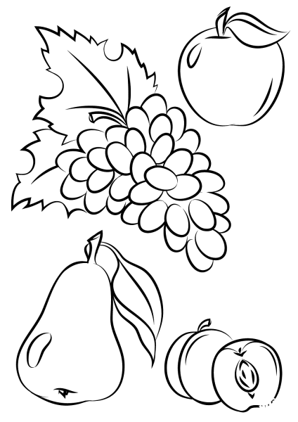 Autumn Fruits coloring page image