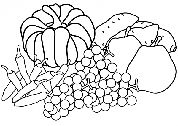 Autumn Harvest coloring page image