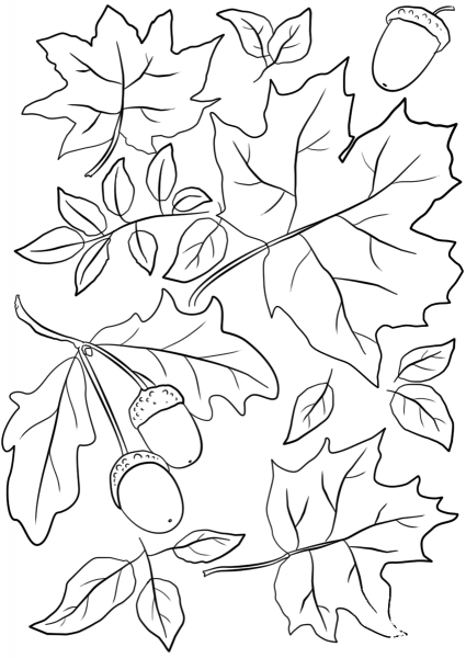 Autumn Leaves and Acorns coloring page image