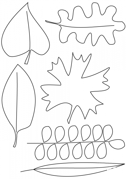 Autumn Leaves coloring page image