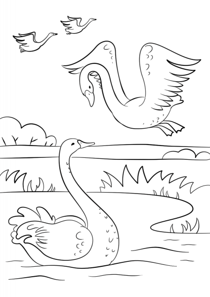 Autumn Scene with Swans coloring page image