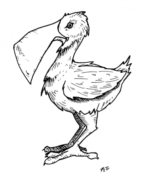 Axe Beak coloring page image