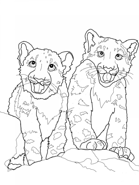 Babies Snow Leopard coloring page image