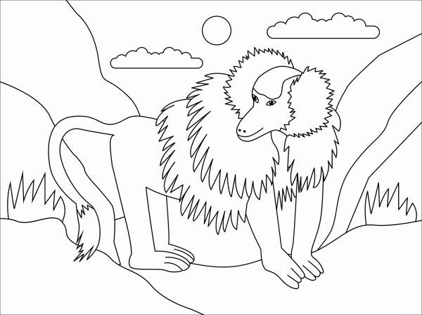 Baboon coloring page image