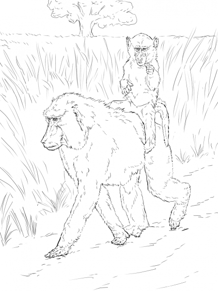Baboon Mother Carries Baby on Back coloring page image