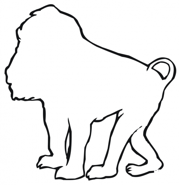 Baboon Outline coloring page image
