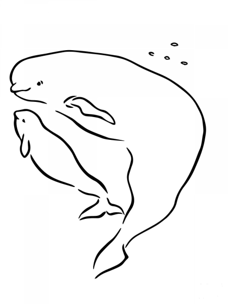Baby Beluga with Mother coloring page image