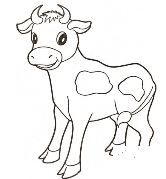 Baby Cow coloring page image