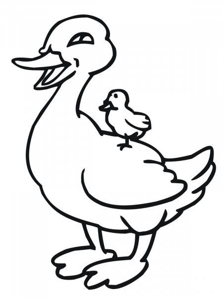 Baby Duckling Riding on Mother Duck coloring page image