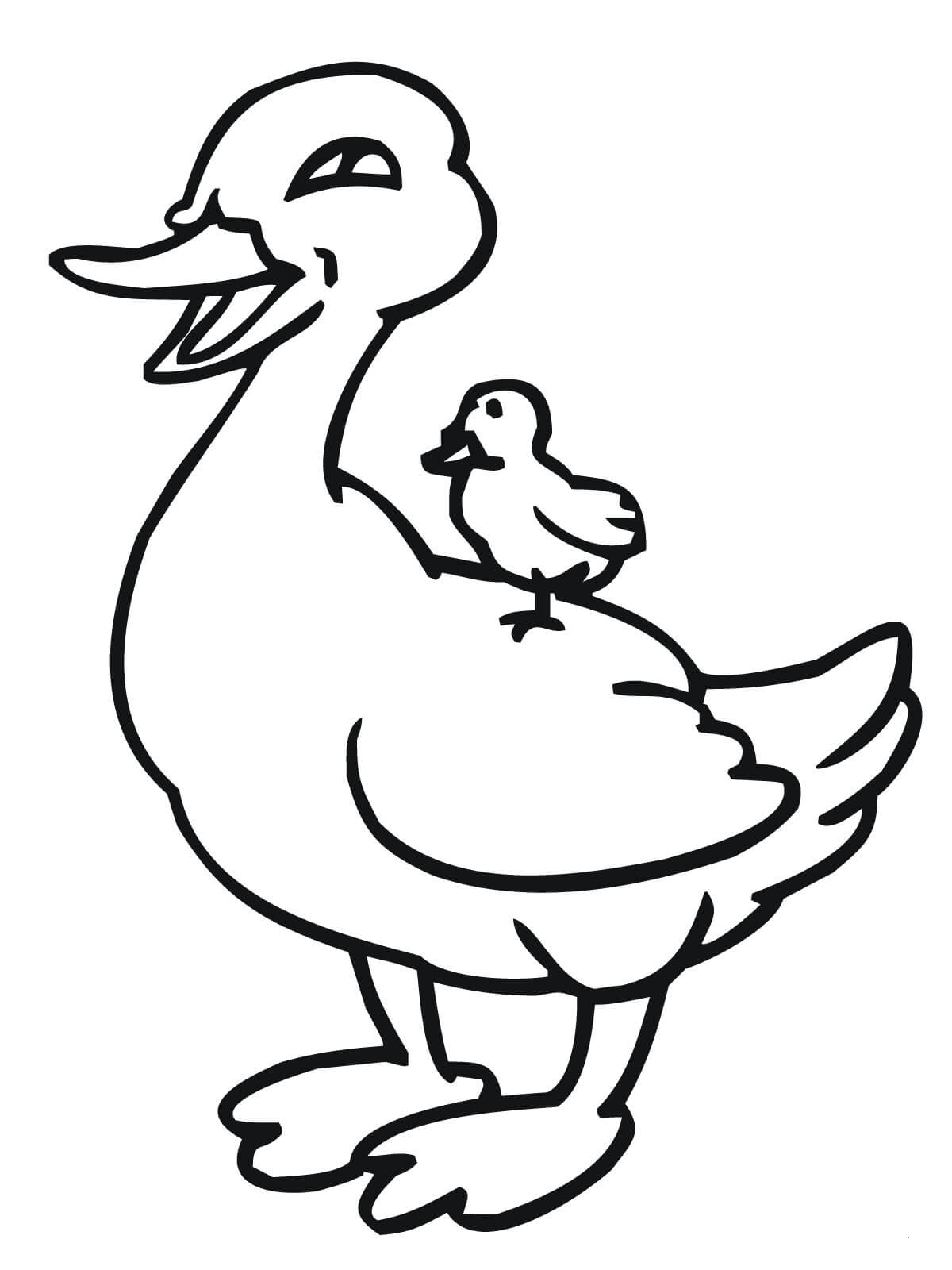 Baby Duckling Riding on Mother Duck coloring page - ColouringPages