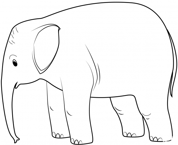 Baby Elephant coloring page image