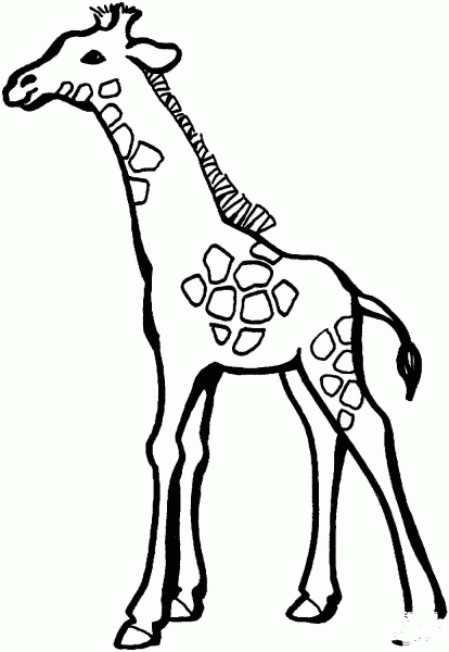 Baby Giraffe coloring page image
