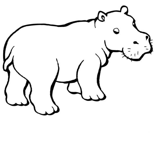 Baby Hippo coloring page image
