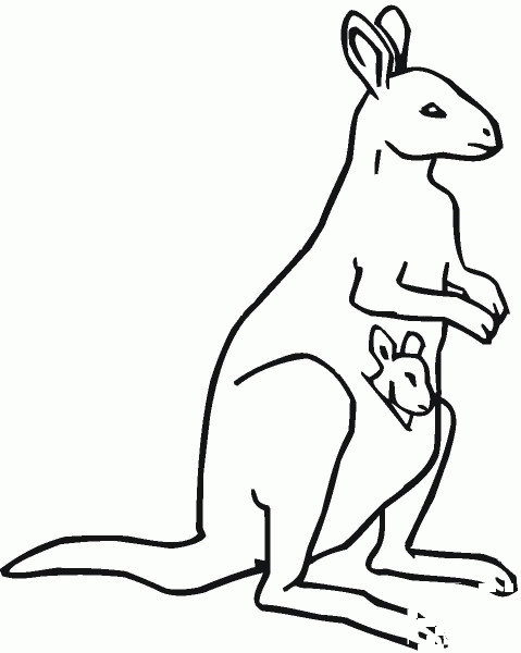 Baby Kangaroo in Mother’s Pouch coloring page image