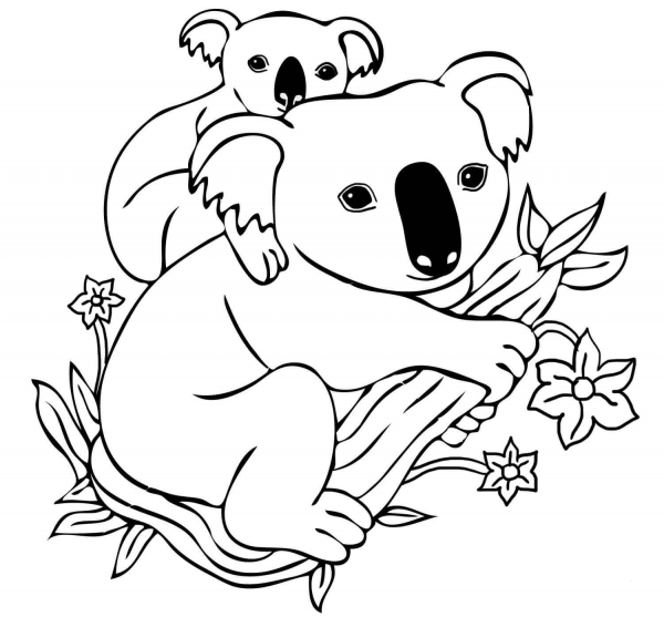 Baby Koala on Mother’s Back coloring page image