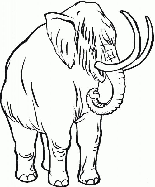 Baby Mammoth coloring page image