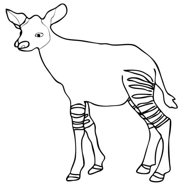 Baby Okapi (Calf Okapi) coloring page image