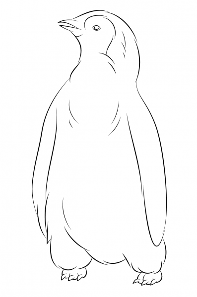 Baby Penguin coloring page image