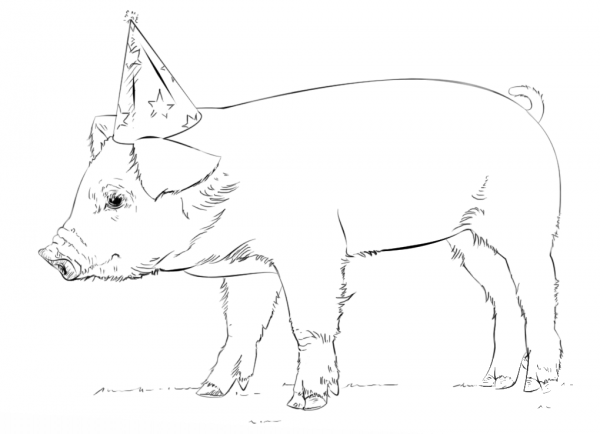 Baby Pig coloring page image