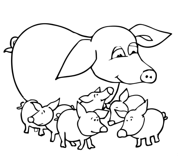 Baby Pigs and Mother coloring page image