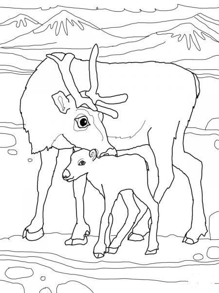 Baby Reindeer with Mother coloring page image
