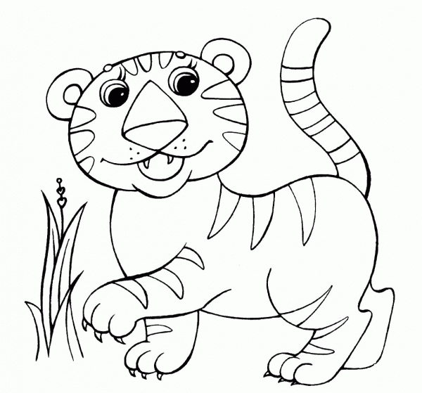 Baby Tiger coloring page image