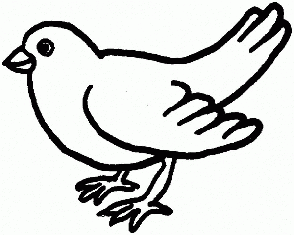 Backyard Dove coloring page image
