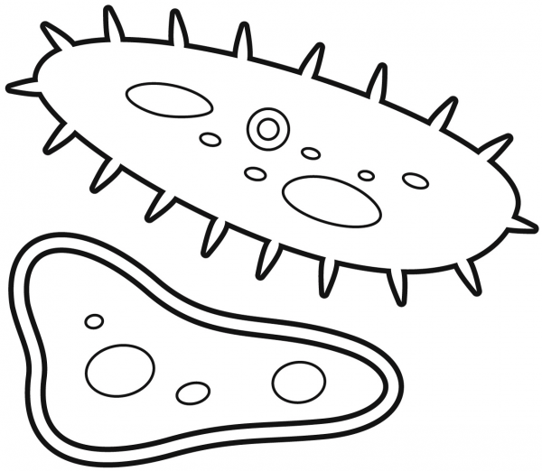 Bacteria coloring page image