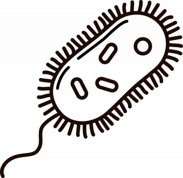 Bacteria coloring page image