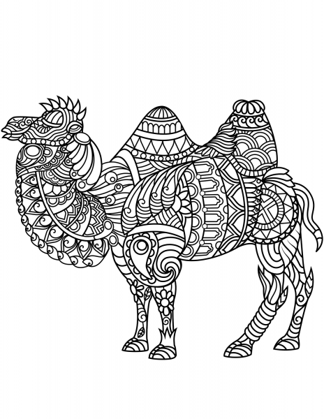 Bactrian Camel Zentangle coloring page image