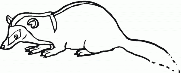 Badger coloring page image