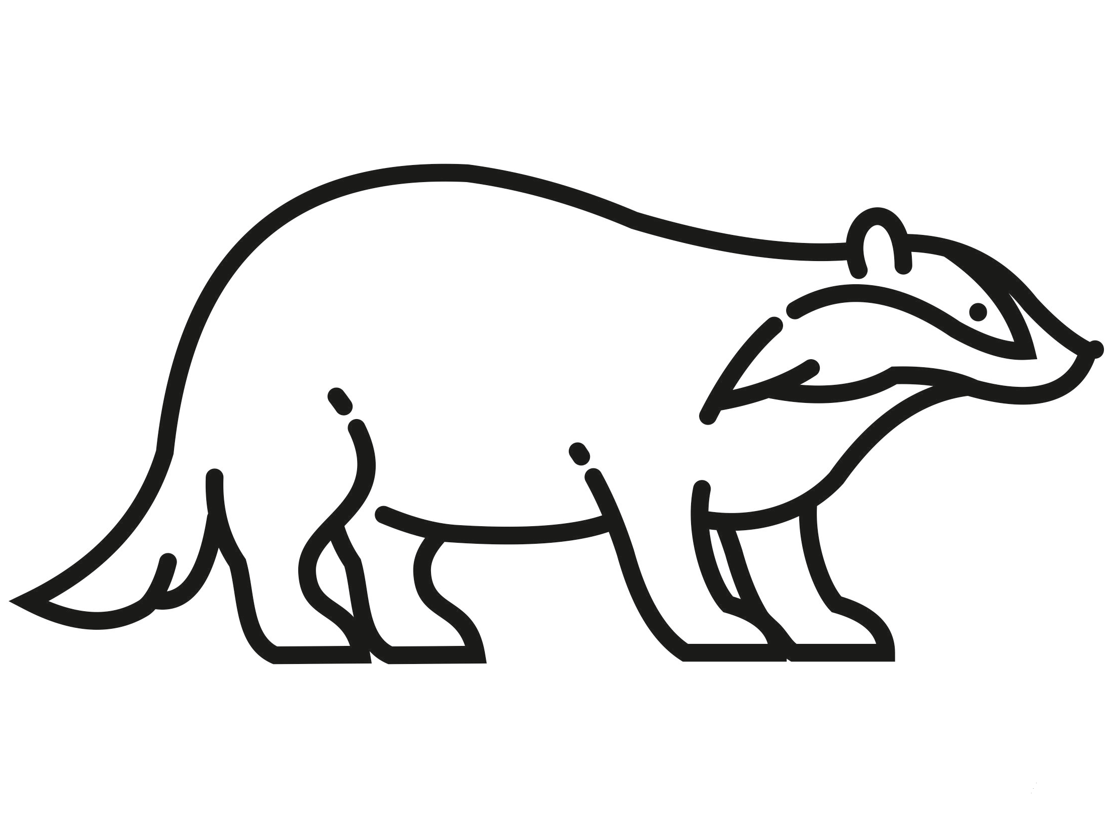 Badger coloring page - ColouringPages