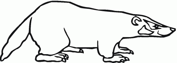 Badger coloring page image