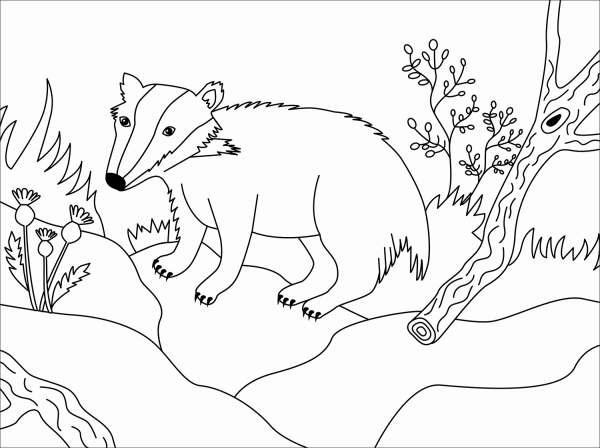 Badger coloring page image