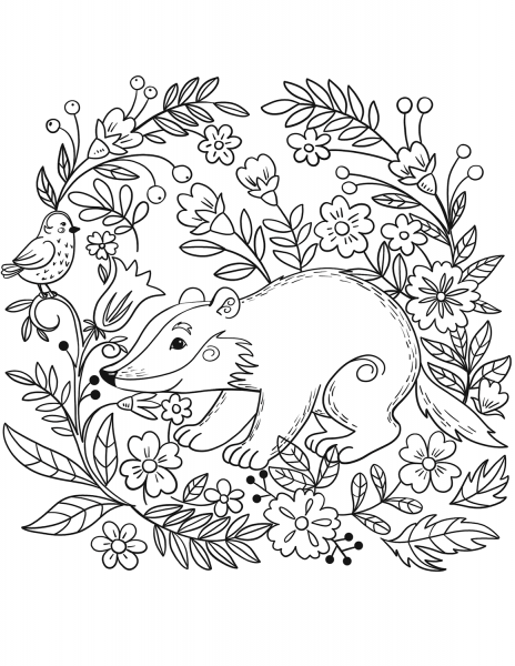 Badger coloring page image