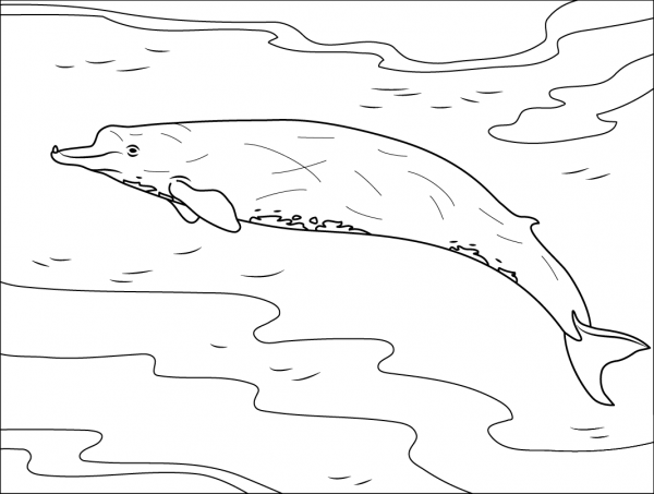 Bairds Beaked Whale coloring page image