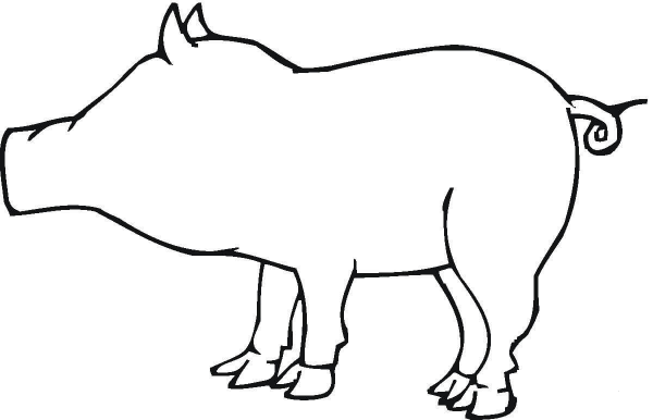 Pig Outline  coloring page image