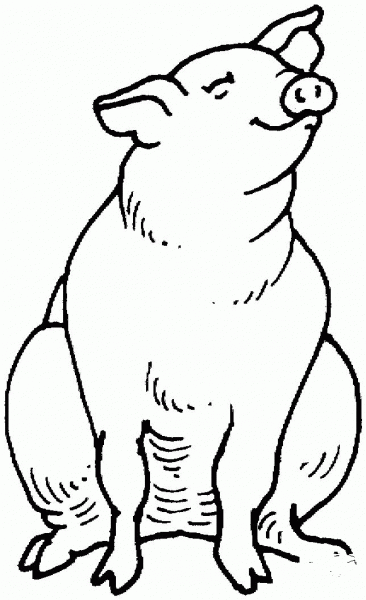 Pig Sits coloring page image